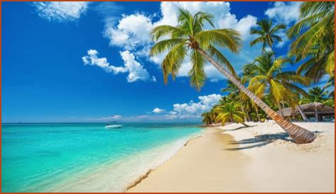 Dominican Republic: Tropical paradise that's become famous for a sinister reason